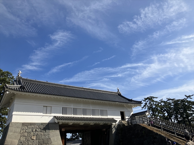 IMG_2140_R.JPG