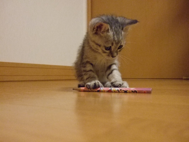 DSCF1092.JPG