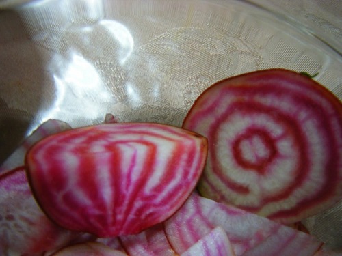 ゴルゴビートで (7).jpg