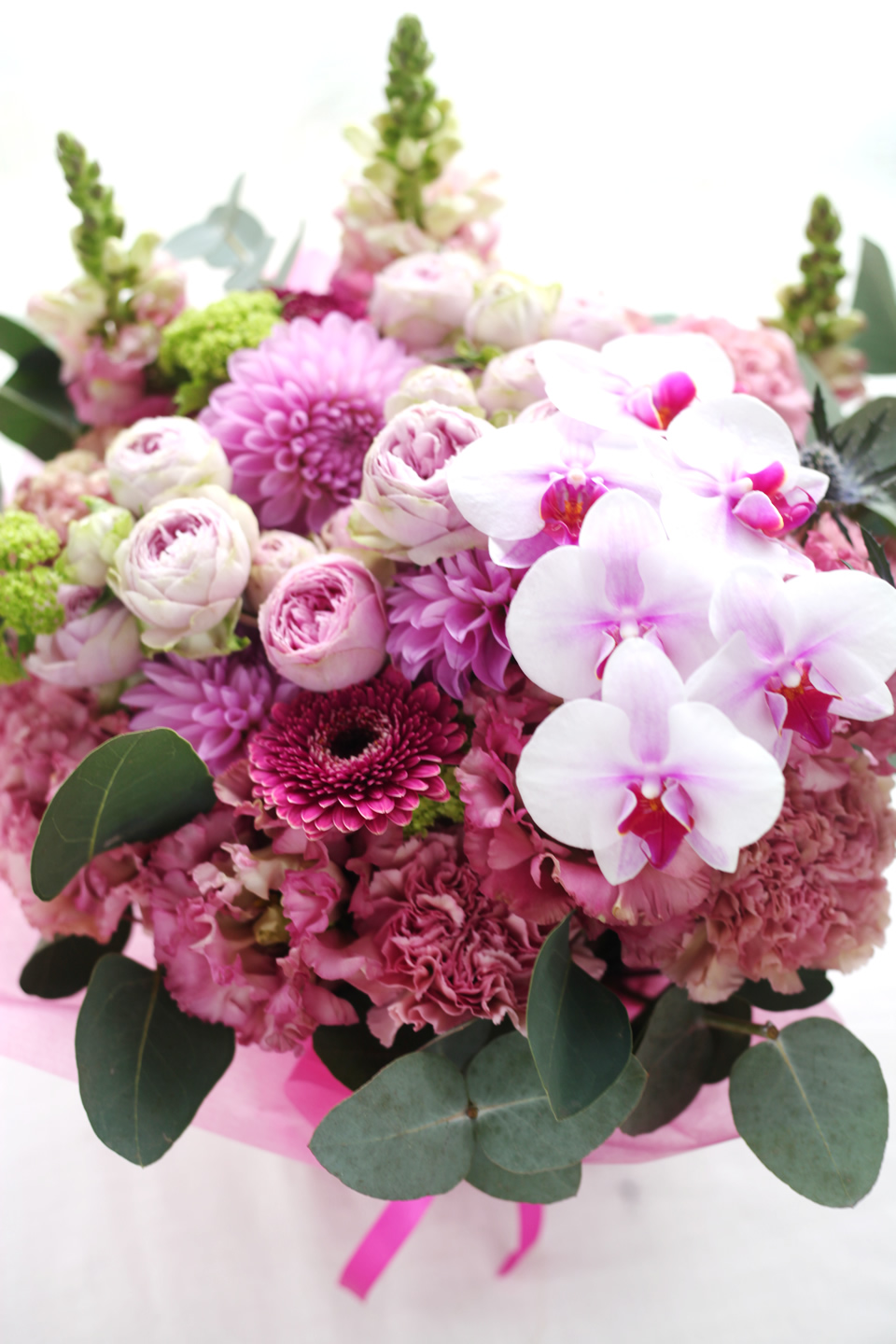 pink11000-114.jpg