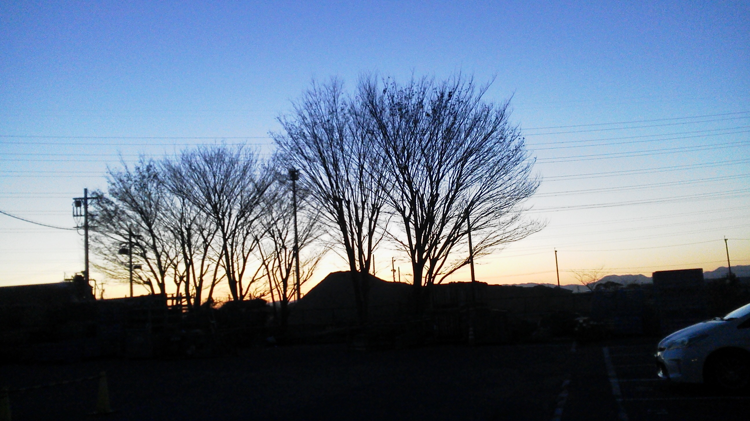 P1010056.JPG