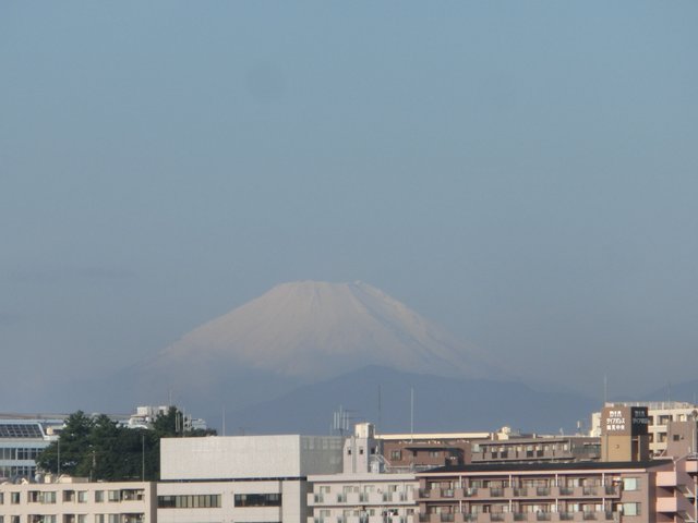 CIMG3547.JPG