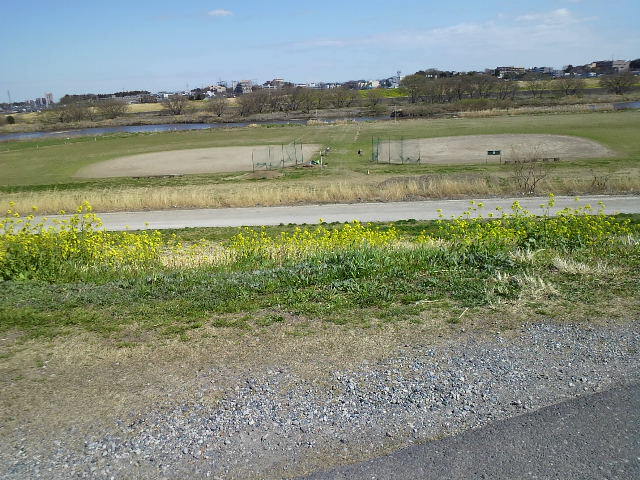 寂しい野球場.jpg