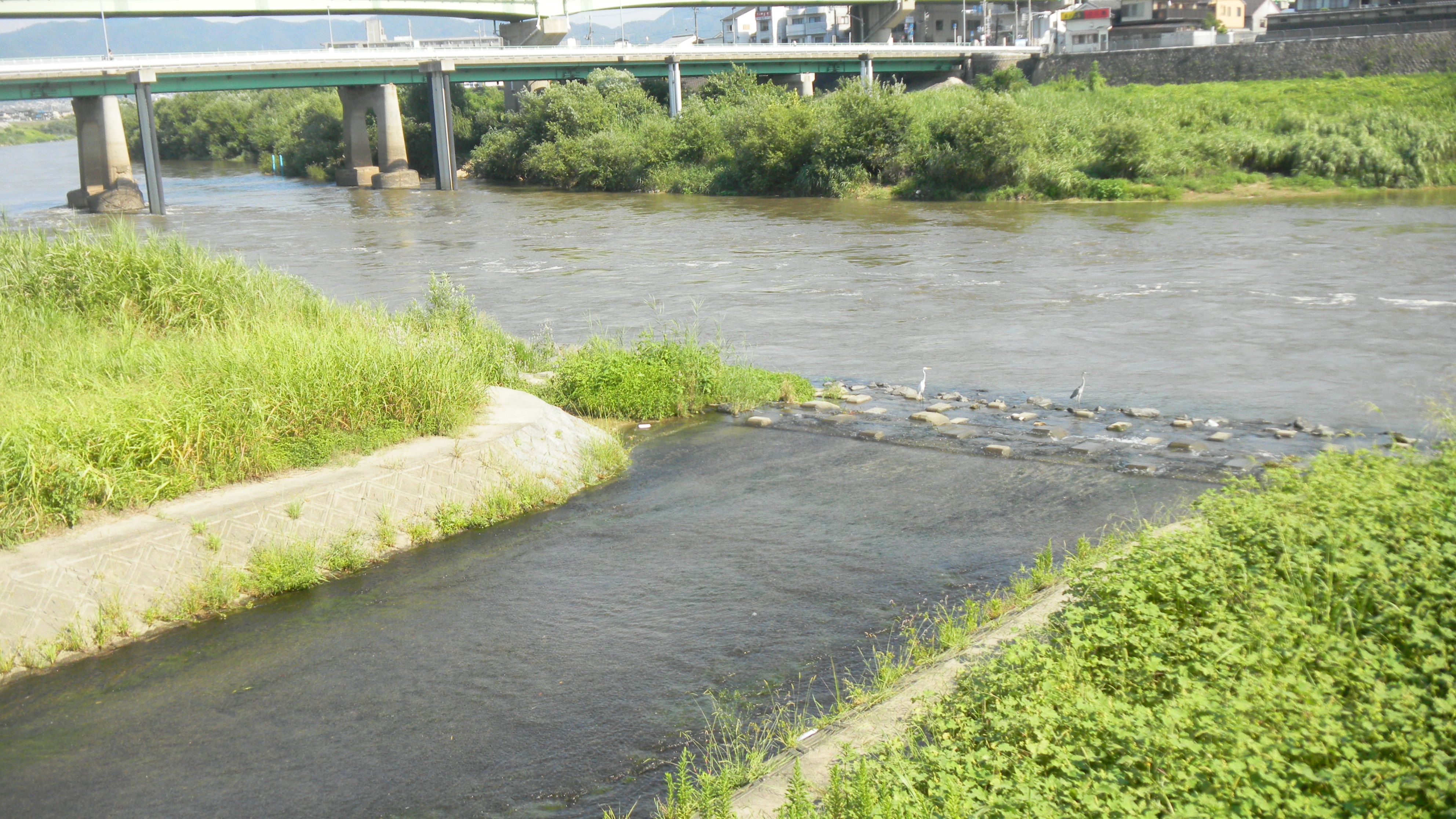 062宇治川派流の宇治川への流れ込み口.JPG