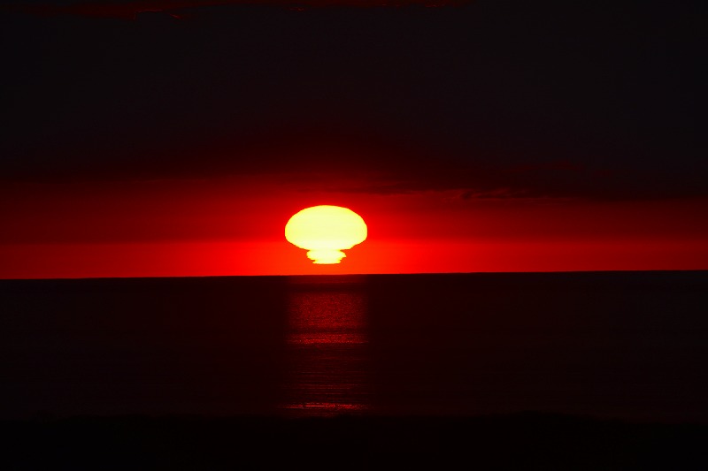 DSC_0221.jpg
