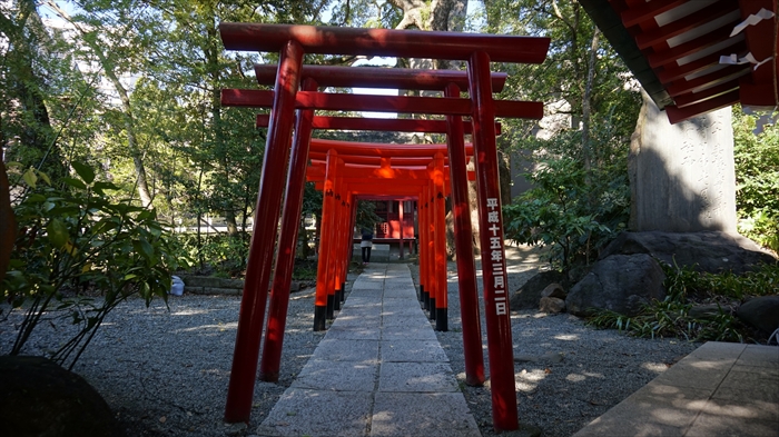 20151127 10581501.jpg