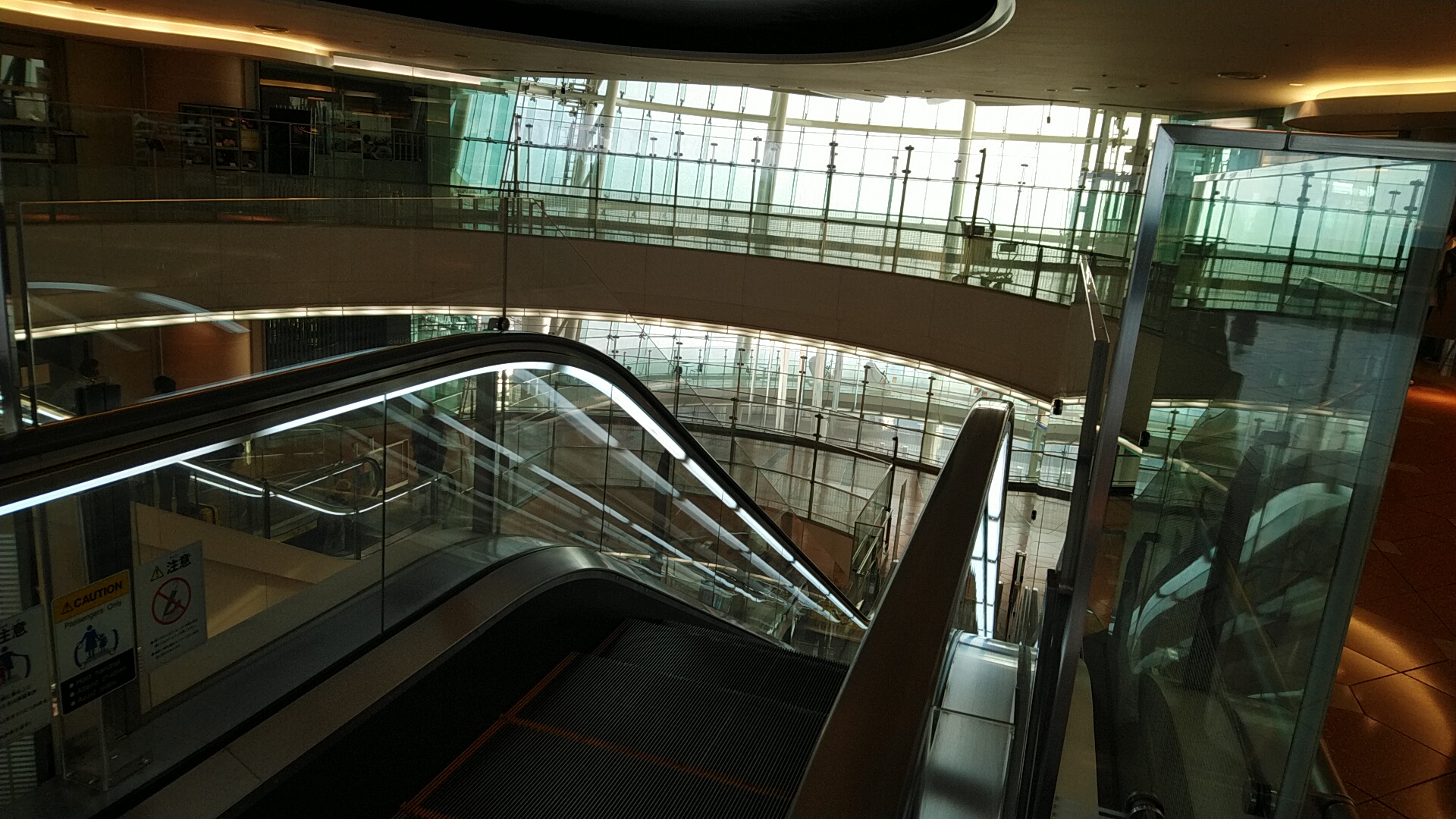 20220408  DSC_0004.jpg