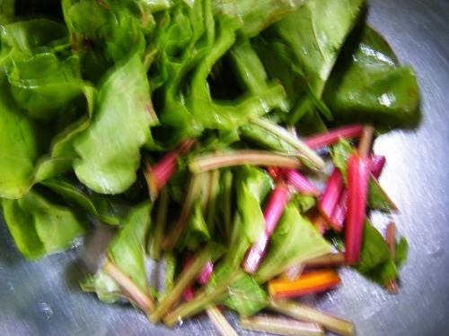 ゴルゴビートで (12).jpg