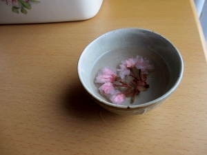 IMG_4440 (300x225).jpg