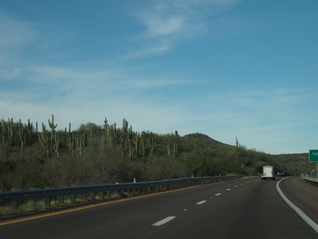 P3032135.JPG