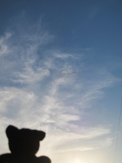 IMG_7573.jpg