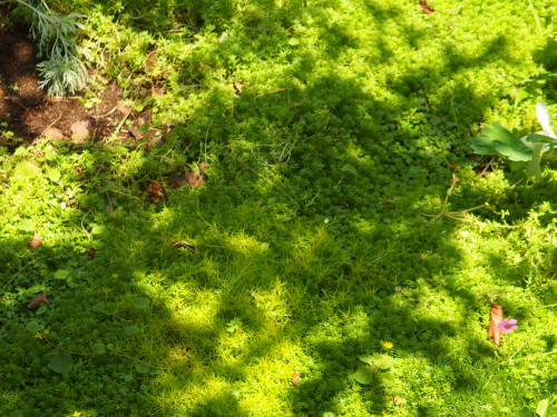 2015-06-24 10.46.18.jpg