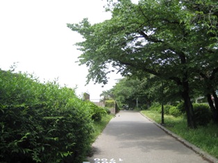 皐月め組総見の日 201.JPG