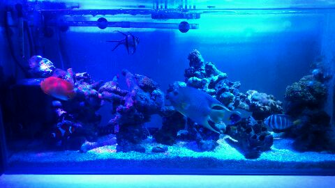 rps20130321_223242_285.jpg