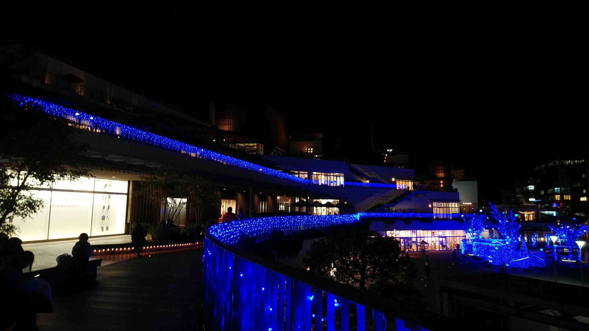 20221217  DSC_0005.jpg