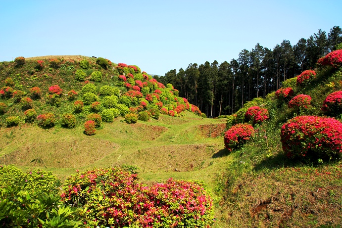 山中城址８障子堀.jpg