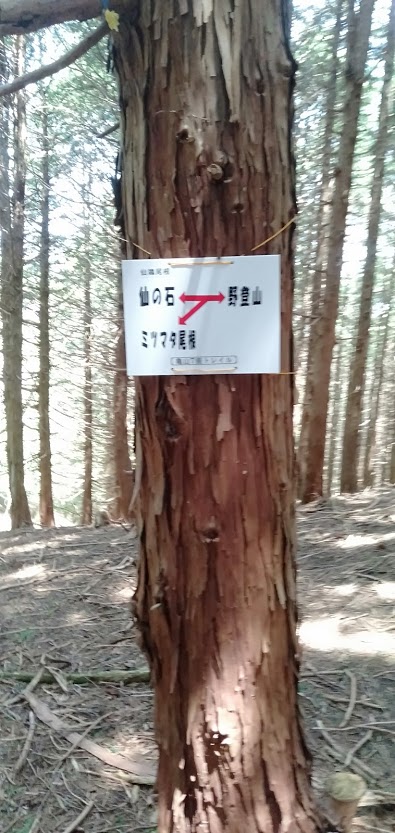 IMG20210504115001.jpg