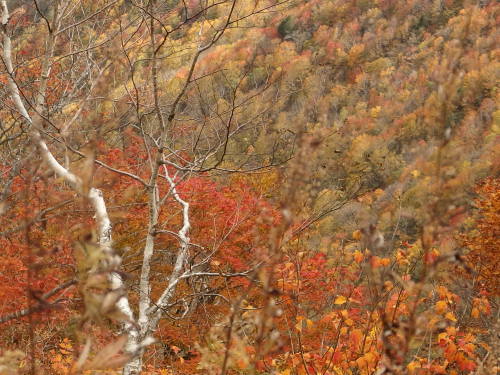 2015-10-13 10.50.44.jpg