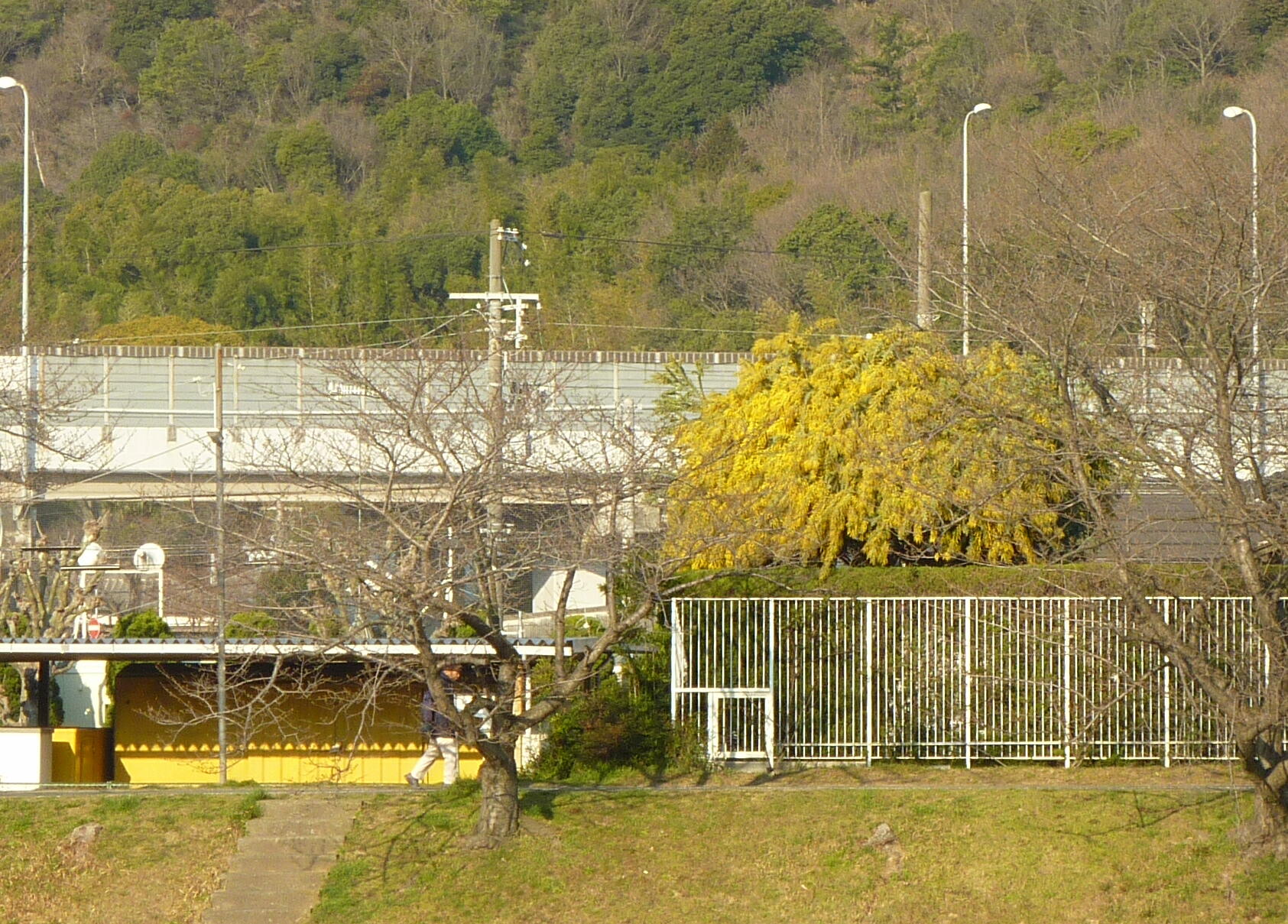 140323-3-2.jpg