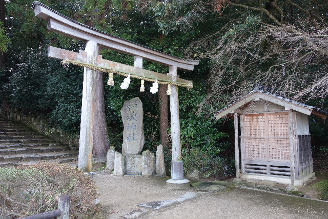 DSC03663.JPG