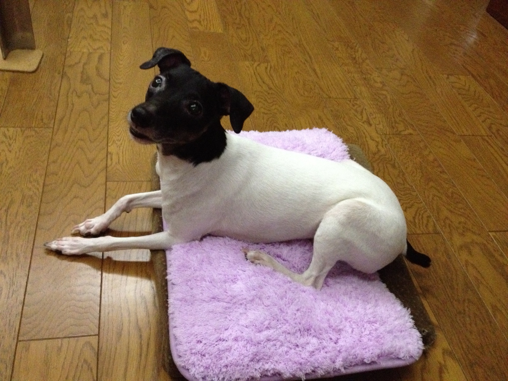 bathmat5.jpg