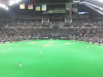DSCF9126.JPG