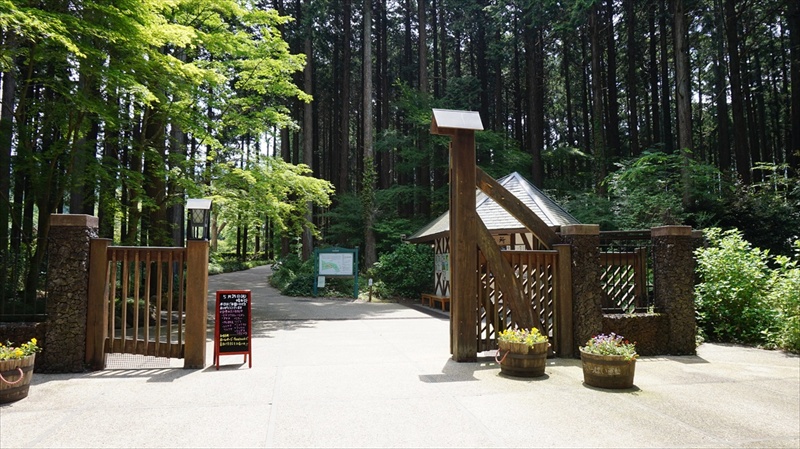 20150525 10524101.JPG