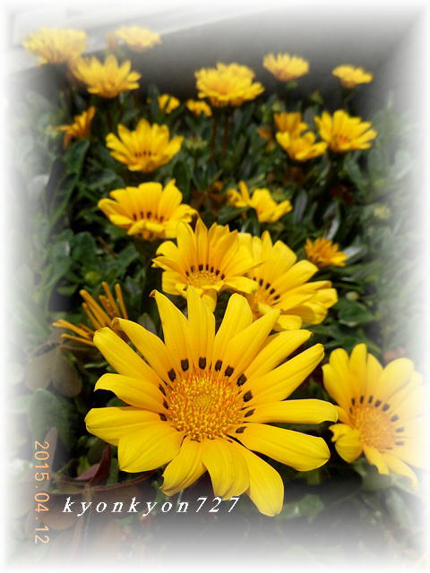 DSCN0698.jpg