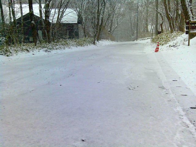 250316road.jpg