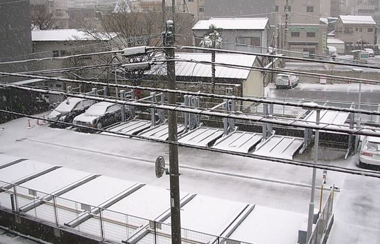 雪　'12.2.29.jpg