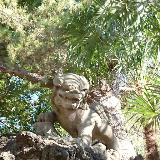 DSC_0210.JPG