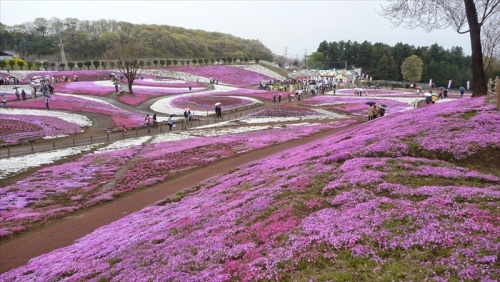 20150419 14274301.JPG