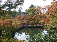 123.jpg