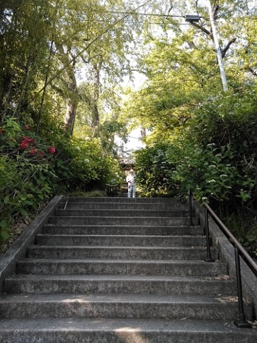 仙台の紫陽花寺 資福寺 あじさい寺 おばさんのつぶやき 楽天ブログ