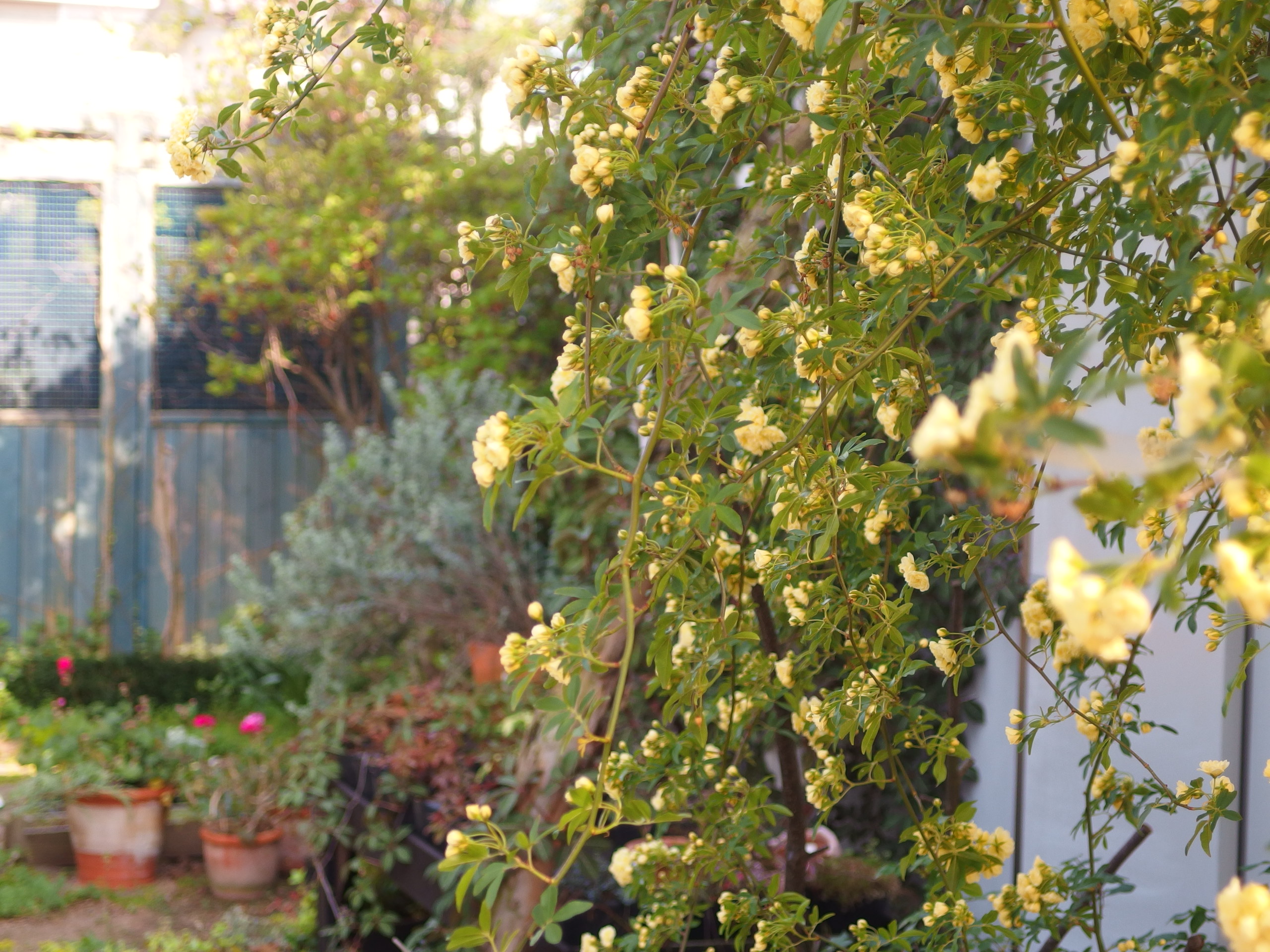 2015-05-01 14.57.24.jpg