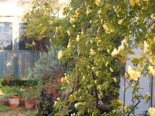 2015-05-01 14.57.24.jpg