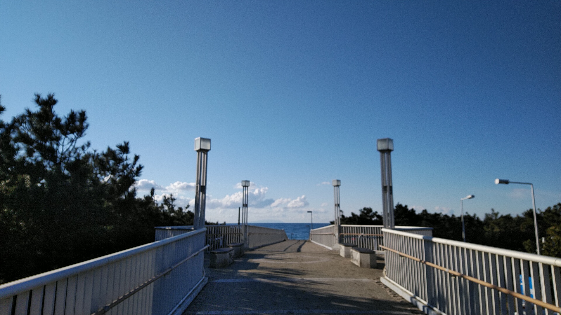 20220205  DSC_0001.jpg