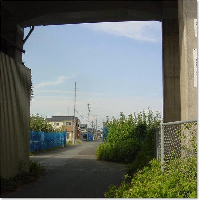 17こんな道がありました