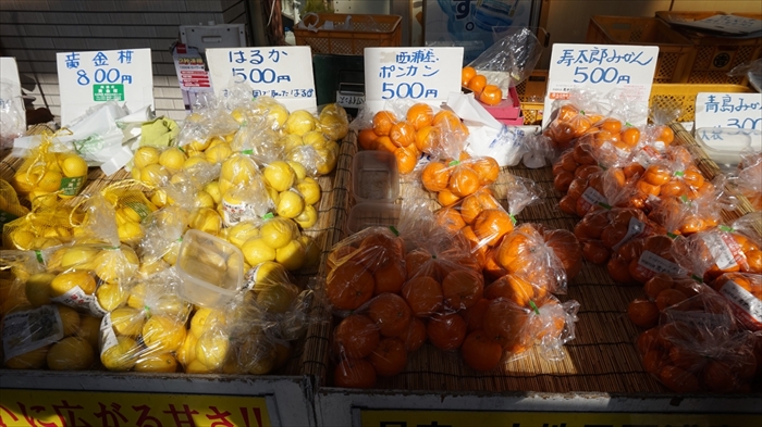 20160127 12483201.JPG