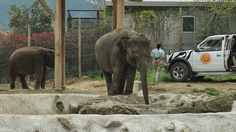 20150420 12124501.JPG