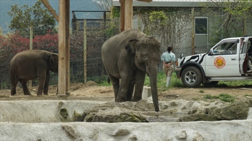 20150420 12124501.JPG