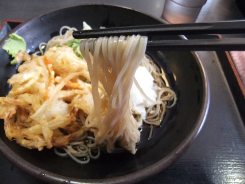 ゆで太郎本所吾妻橋店の朝そば(おろし)２