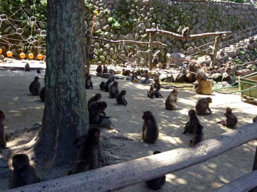 芋の時間 (1).JPG