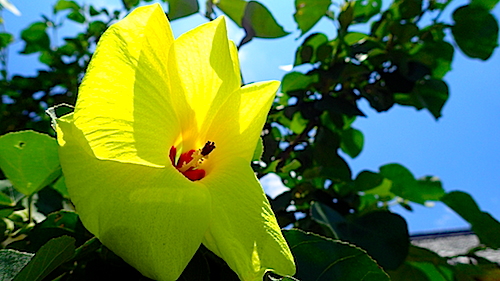 P7180439.JPG