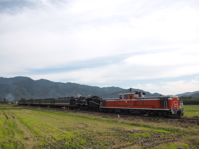 PA282190.JPG