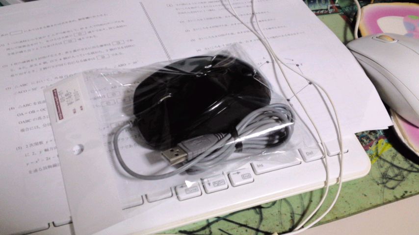 mini_160131_2152.jpg