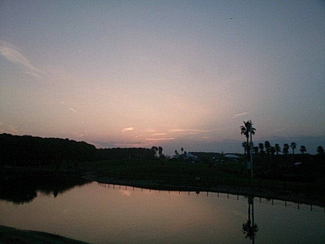 20180916  DSC_0002.jpg