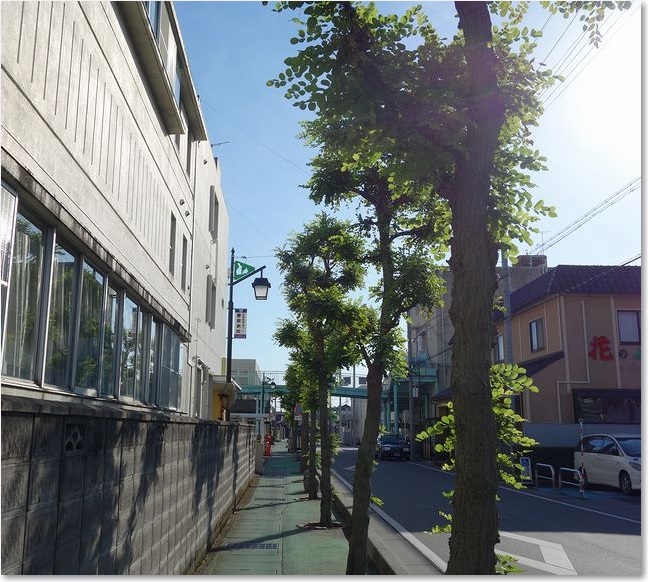 30こんな道です