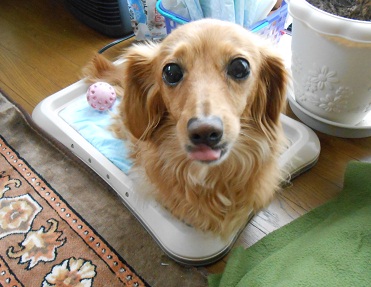 DSCN3880.JPG