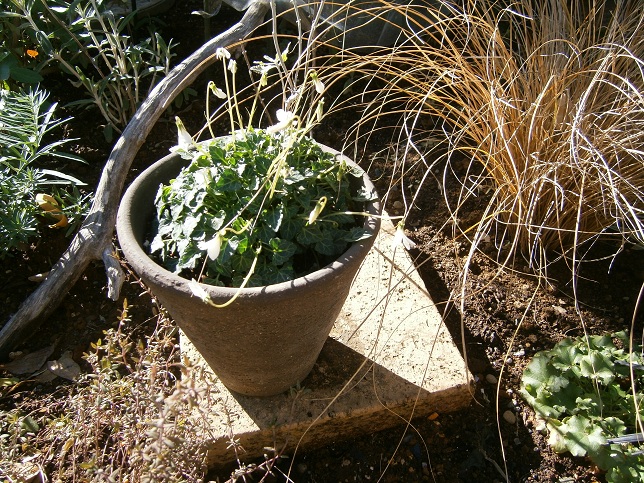 PC240070a.JPG